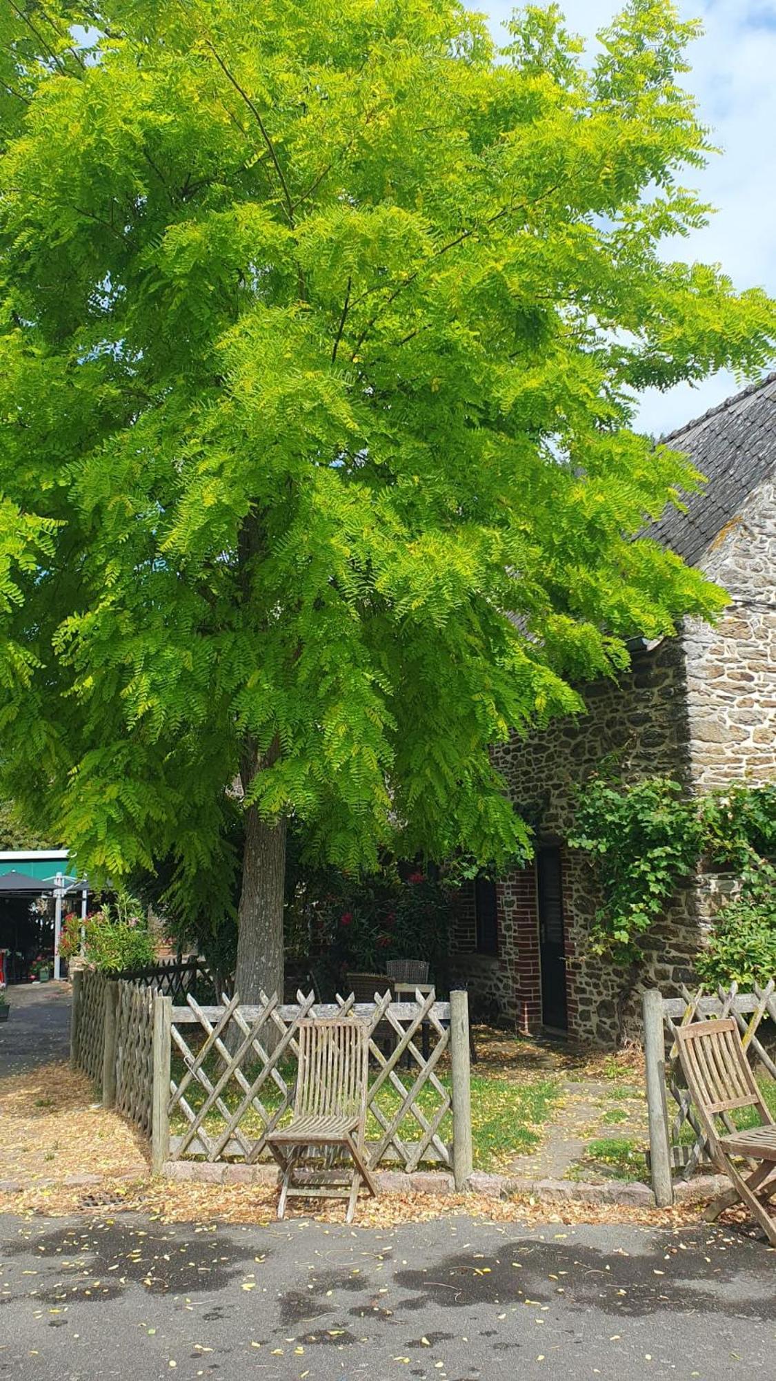 L'Auberge De La Porte แซงต์-ชูออง-เดส์-เกเรต์ ภายนอก รูปภาพ
